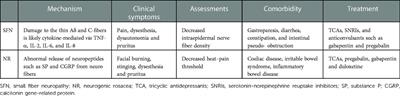 Neurogenic rosacea could be a small fiber neuropathy